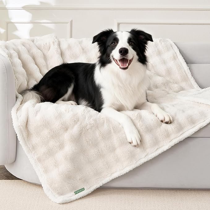 Soft Cozy Waterproof Dog Blanket for Couch - Room Decor Medium Pet Blanket for Furniture Protector, Washable Calming Dog Crate Blankets for Indoors & Outdoors, Cream, 40"x50"