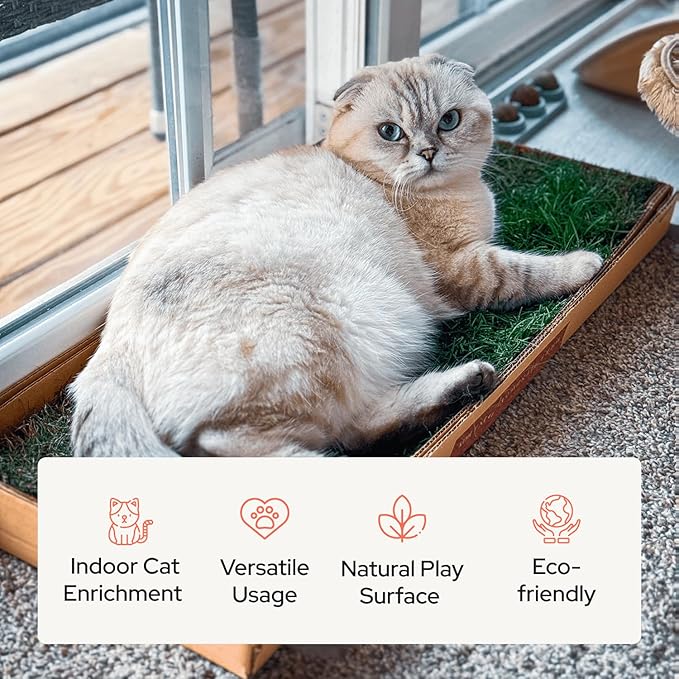 Kitty Lawn Real Grass Cat Window Perch - Natural Indoor Lounger for Large & Small Cats - California Grass - 24x9 Inch - USA Grown