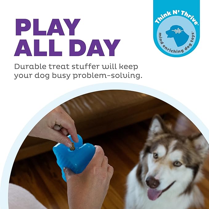 Outward Hound Gummiez Bear Dog Toy & Treat Stuffer, 4.7″ x 3″ Blue Raspberry-Scent Interactive Chew for Dogs, Promote Healthy Teeth, Gums & Mental Enrichment, Reduce Boredom & Support Dental Health