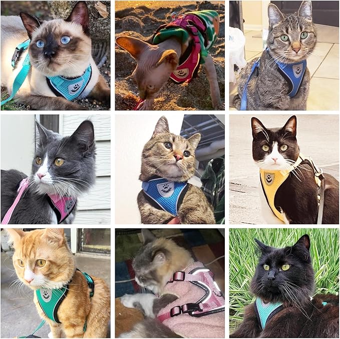 PUPTECK Cat Harness and Leash Set Escape Proof Reflective Cat Walking Harness Adjustable Soft Breathable Mesh Vest for Small Pets, Orange, S
