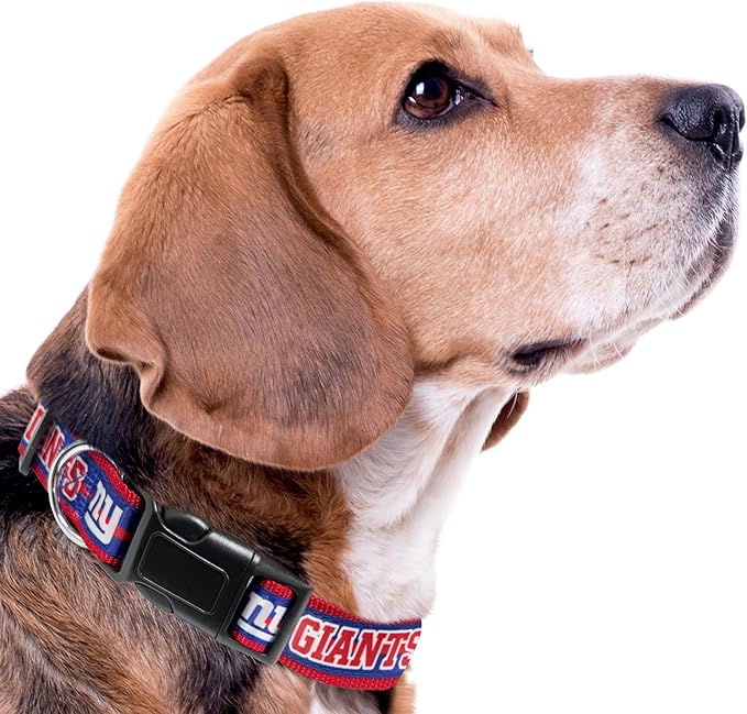 Pets First NFL New York Giants Licensed PET COLLAR, Medium - Heavy-Duty, Strong, and Durable Dog Collar. Available in 31 Football Teams and 4 Sizes