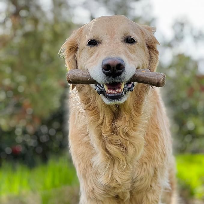 Nylabone Real Wood Stick Toy Strong Chew Toy for Dogs, Rubber Dog Toys for Moderate & Aggressive Chewers, Bacon Flavor, X-Large - 50+ lbs, 1 Count