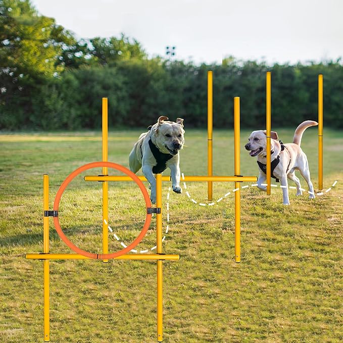 TNZMART 2.6 FT Dog Agility Obstacle Course Backyard Set with Wave Poles, Adjustable Hurdles and Jump Ring, Training Exercise Equipment for Dogs (Pack of 6 Yellow)