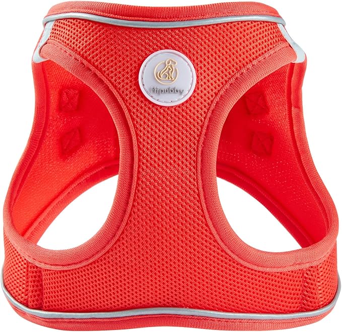 Hipubby Dog Harness and Leash Set, No Pull Soft Mesh Puppy Harness for Small Medium Dogs, Cats - Step in Reflective Breathable Lightweight Vest Harness for Walking, Training - Red, L
