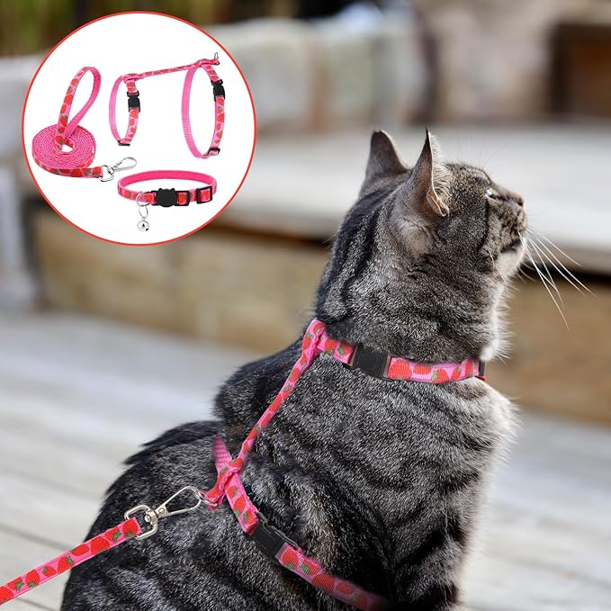 2 Pack Cat Harness and Leash with Collar Set, Adjustable Kitten Harness Escape Proof for Small Medium Cat Safe Walking and Travel, Lightweight Soft Comfortable