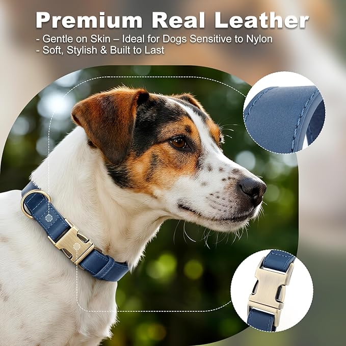 Plutus Pet Genuine Leather Dog Collar – Adjustable Pet Collar with Quick Release Metal Buckle, Soft Real Leather for Small Medium Large Dogs, Heavy Duty & Skin-Friendly (Royal Blue, M)