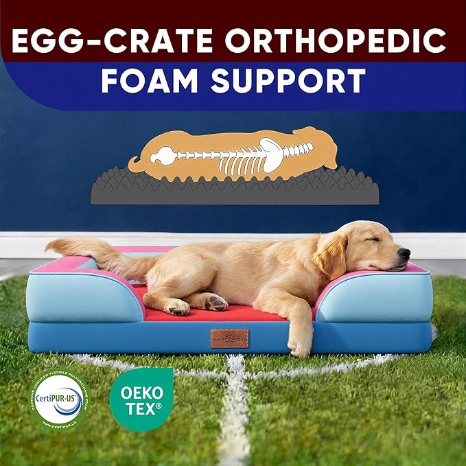 Comfort Expression Orthopedic Dog Bed for Extra Large Dogs 45x35 Inch, Waterproof Egg Crate Foam XL Pet Bed with Removable Bolsters, Dog Couch with Washable Cover & Non-Slip Bottom, Atlanta