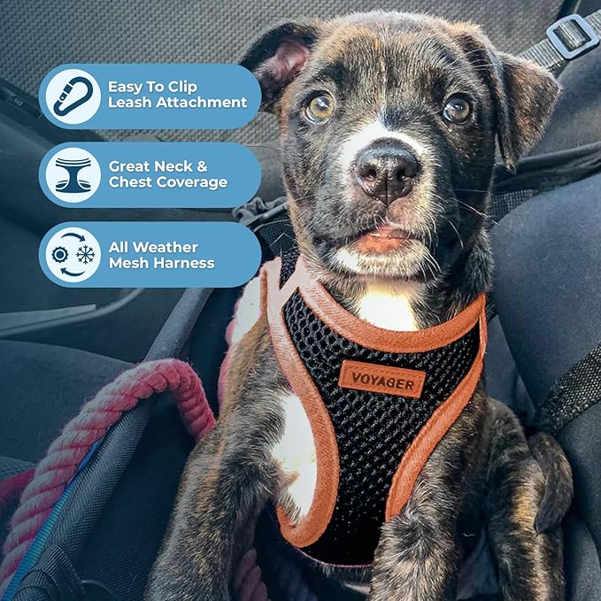 Best Pet Supplies Voyager Step-in Air All Weather Mesh Harness and Reflective Dog 5 ft Leash Combo with Neoprene Handle, for Small, Medium and Large Breed Puppies - Black/Orange Trim, Large