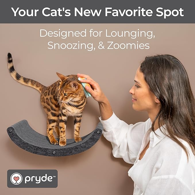 Wall Mounted Cat Hammock Bed by Pryde Pets - Floating Perch Curved Shelf, 100% Sustainable PET Felt Feline Enrichment Climber Furniture for Indoor Cats, Modern Climbing Gym Jungle Design (Charcoal)
