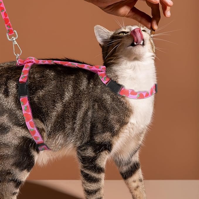 2 Pack Cat Harness and Leash with Collar Set, Adjustable Kitten Harness Escape Proof for Small Medium Cat Safe Walking and Travel, Lightweight Soft Comfortable