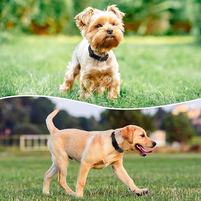 Reflective Dog Collar Padded with Soft Neoprene Breathable Quick Release Basic Dog Collars for Puppy Small Dogs Girl Boy Black