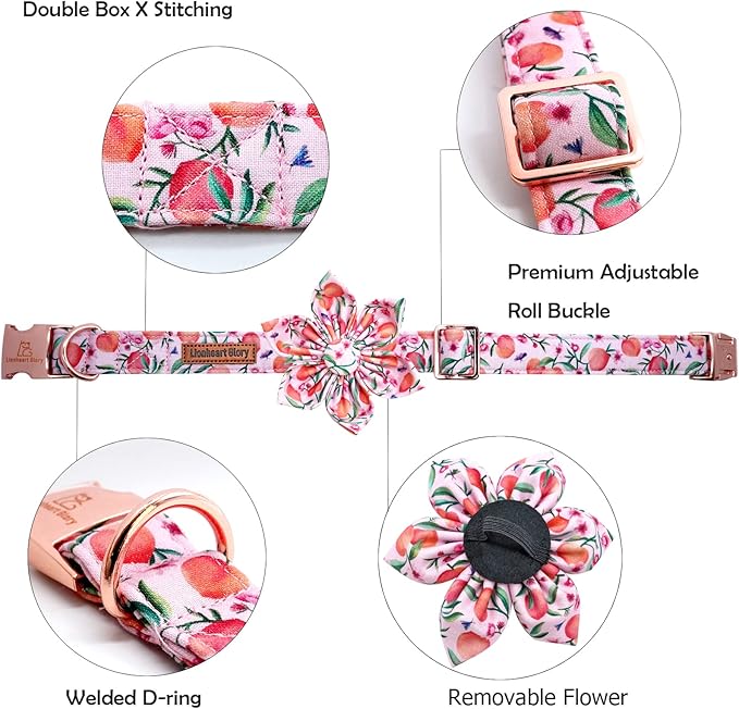 Lionheart Glory Pink Peach Dog Collar with Soft Durable Adjustable Bows