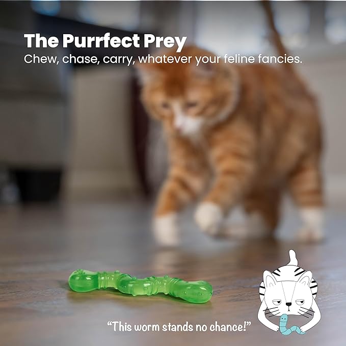 Petstages Orkakat Wiggle Worm Dental Catnip Cat Chew Toy