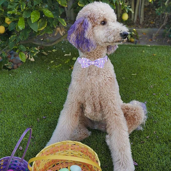 MR. CHUBBYFACE Easter Dog Collar Rabbit Puppy Collar with Bow, Adjustable Pet Collar Bowtie for Small Medium Large Dogs
