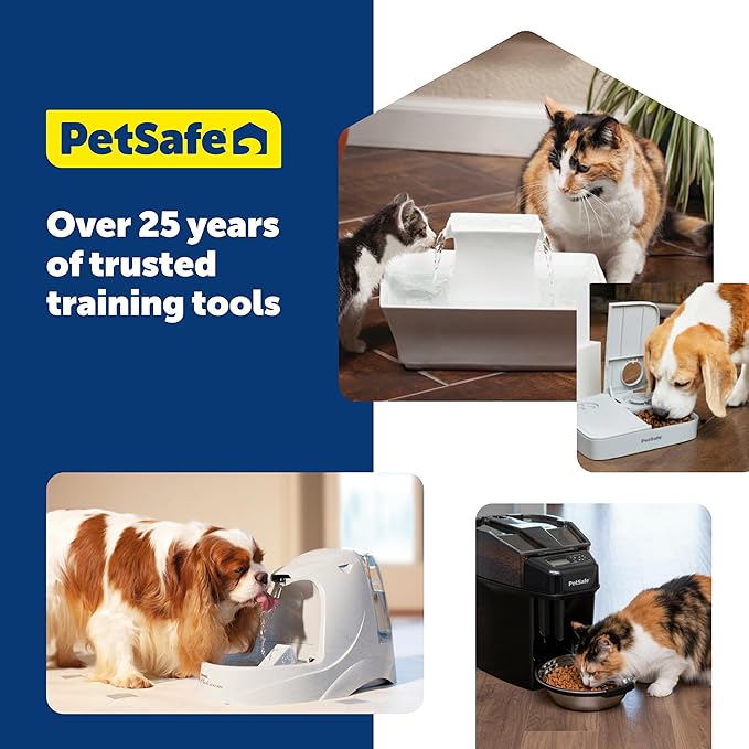 PetSafe Viva Pet Fountain - Encourages Healthy Hydration - Automatic Water Dispenser with Double Filtration - Ultra Quiet Water Fountain - Easy to Assemble - Dishwasher Safe - Stainless Steel - 64 oz