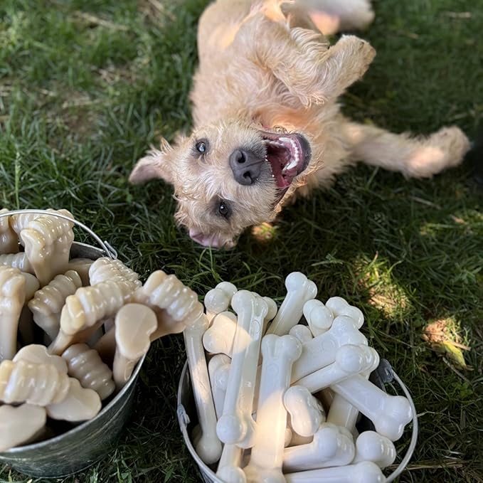 Nylabone Original Bone Power Chew Toy for Dogs, Durable & Tough Dog Toys for Aggressive Chewers, Chicken Flavor, Medium - Up to 35 lbs, 1 Count