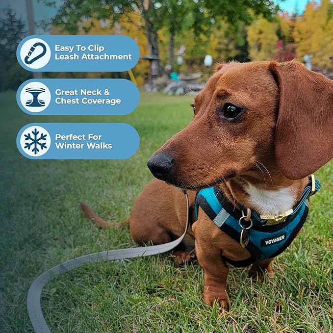 Best Pet Supplies - All Weather Plush, Reflective, No Pull Harness for Small, Medium Dogs, Cats - Secure with Hook & Loop Fastener, Buckle, Double D-Rings - Turquoise Plush, L