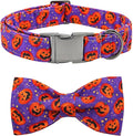 Dog Collar - Halloween Pumpkin Bowtie Pet Collar Gift Soft Bow Collar Pet Adjustable Metal Buckle Puppy Collars for Small Dogs