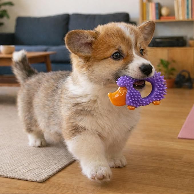 Outward Hound Pupstages Cutie Chewies Hedgehog Dental Dog Chew Toy — Multi-Textured, Massages Gums, Floats & Bounces for Teething Puppies & Small Dogs, 5" x 3.5" x 1"