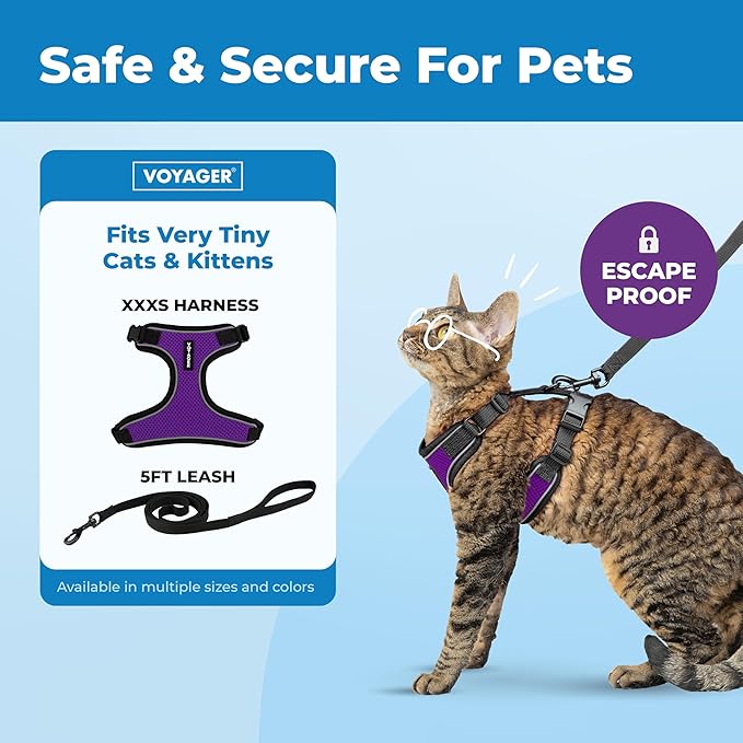 Voyager Escape-Proof Step-in Lock Cat Harness & 5ft Neoprene-Handle Leash Set All-Weather Mesh with Reflective Stitching for Small to Large Cats by Best Pet Supplies, Black Trim-Purple (327), XXXS