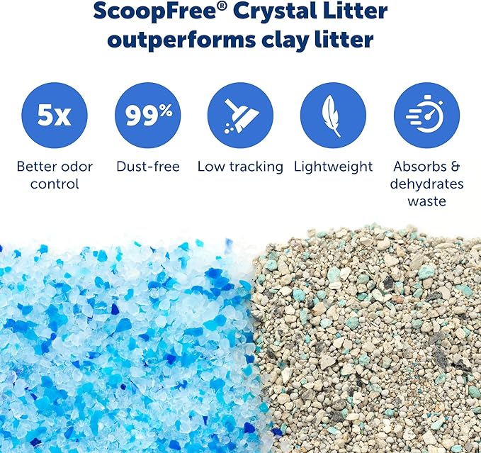PetSafe ScoopFree Reusable Tray with Crystal Litter - Reduces Waste - Durable Plastic Litter Insert - Fast-Acting Odor Control - Easy to Clean - Self-Cleaning Litter Box Compatible