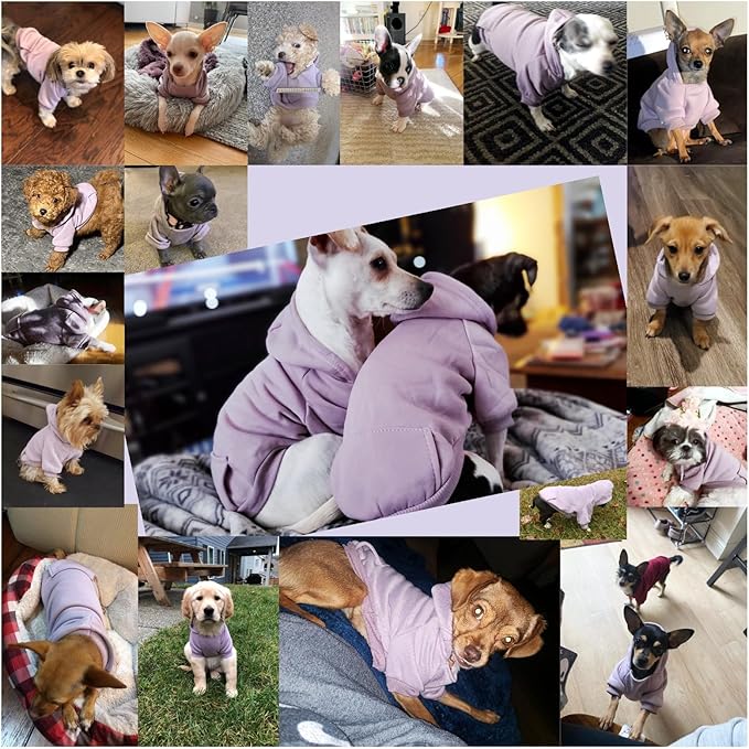 Jecikelon Winter Dog Hoodie Sweatshirts with Pockets Warm Dog Clothes for Small Dogs Chihuahua Coat Clothing Puppy Cat Custume (Purple, Large)