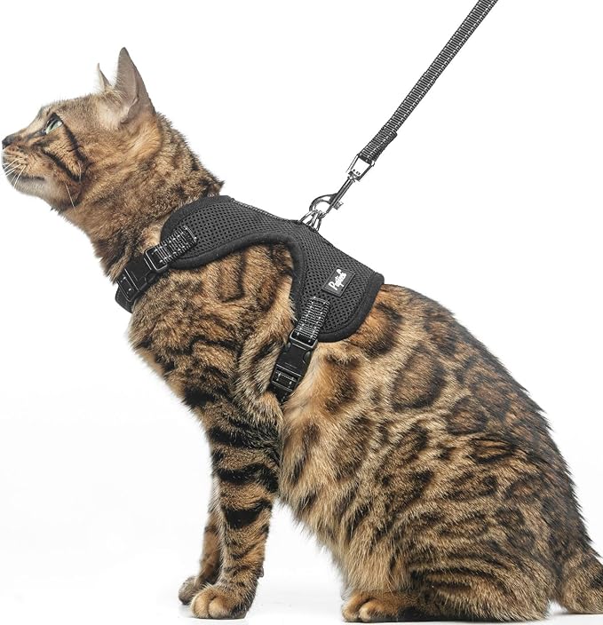 PUPTECK Cat Harness and Leash Set Escape Proof, Reflective Adjustable Soft Mesh Kitten Vest Harness for Walking Travel, Black, S