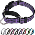 Martingale Dog Collar, Adjustable Nylon Reflective Collar with Buckle No Pull Dog Collar for Small Medium Large Dogs (Purple L)