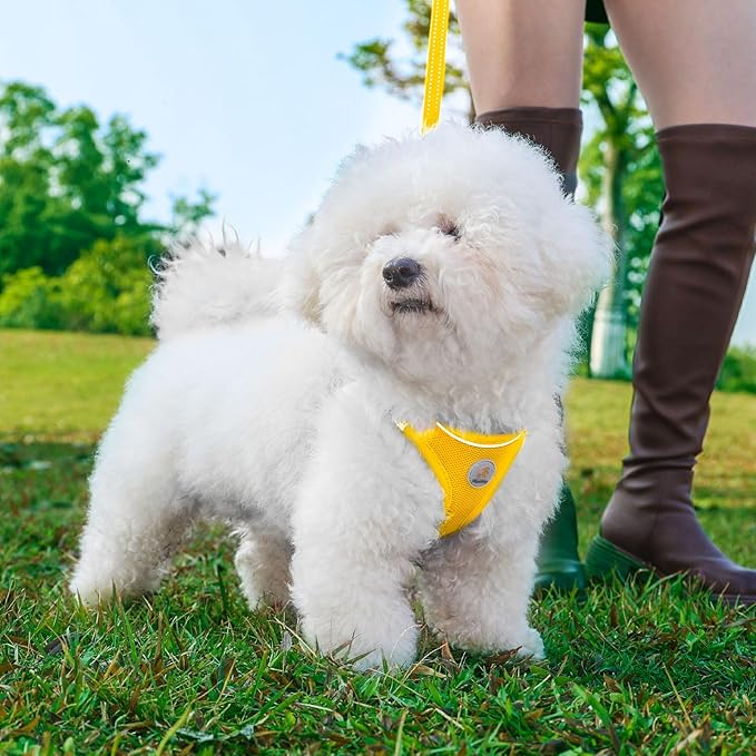 Hipubby Dog Harness and Leash Set, No Pull Soft Mesh Puppy Harness for Small Medium Dogs, Cats - Step in Reflective Breathable Lightweight Vest Harness for Walking, Training - Yellow, M