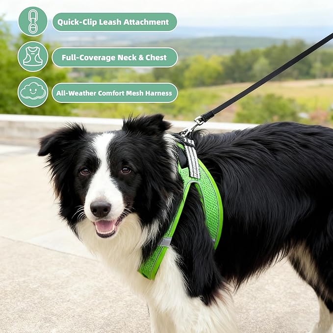 ROYPET Step-in Air Dog Harness, All Weather Mesh Step in Vest Harness for Small and Medidum Dogs and Cats, Adjustable Soft Padded Dog Vest with Easy Control Handle for Dogs Pets (Green, M)