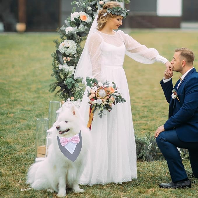 ADOGGYGO Formal Dog Tuxedo Wedding Pet Bandana Collar with Bowtie, Adjustable Birthday Wedding Formal Tux Costumes for Medium Dogs Pets (M, Grey)