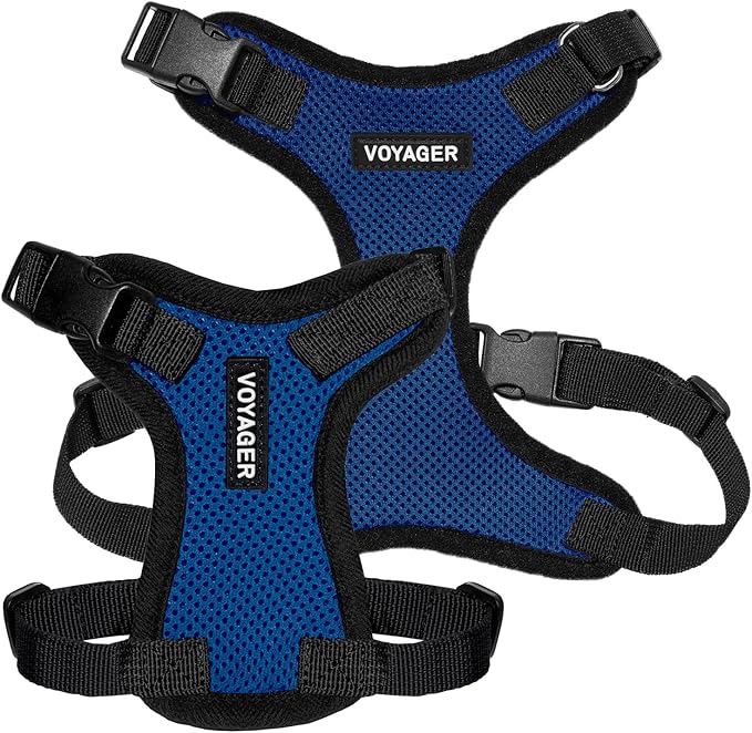 Voyager Step-in Pet Harness - All Weather Mesh, Adjustable Step in Harness for Cats and Dogs by Best Pet Supplies - Royal Blue/Black Trim, XS