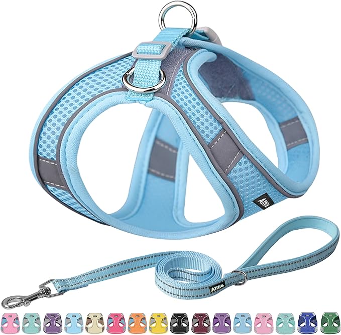 AIITLE Comfortable Dog Harness and Leash Set for Walking - Step in Vest Harness,Reflective Bands, Adjustable No Pull Puppy Essentials, for Small Dogs and House Cats Pure Blue XS