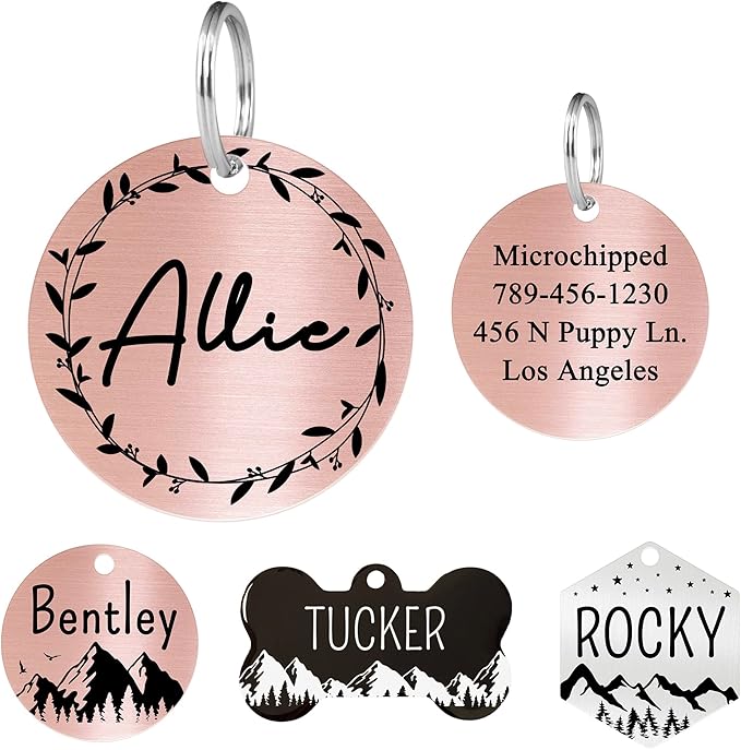 Ultra Joys Stainless Steel Dog Nametag - Personalized Engraving on Front and Back, Customized Cat Tag, Round Vince Design 2, Rose Large
