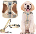 PUPTECK Adjustable Dog Harness Collar and Leash Set Step in No Pull Pet Harness for Small Medium Dogs Puppy and Cats Outdoor Walking Running, Soft Mesh Padded Reflective Vest Harnesses, Beige XL