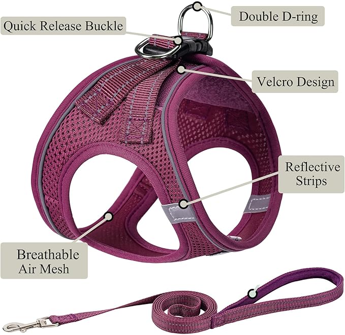 Dog Harness with Leash Set, No Pull Adjustable Reflective Step-in Puppy Pet Vest Harnesses for Small Medium Large Dogs and Cats,Cranberry XXS