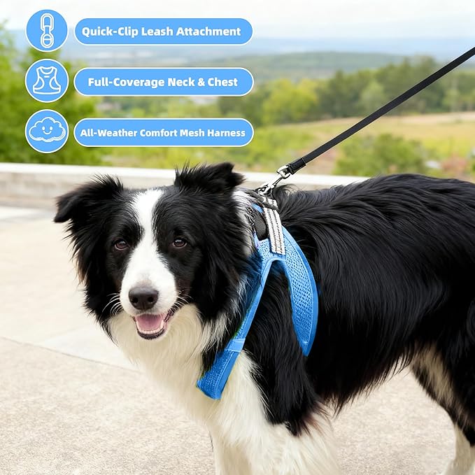 ROYPET Step-in Air Dog Harness, All Weather Mesh Step in Vest Harness for Small and Medidum Dogs and Cats, Adjustable Soft Padded Dog Vest with Easy Control Handle for Dogs Pets (Azure, L)