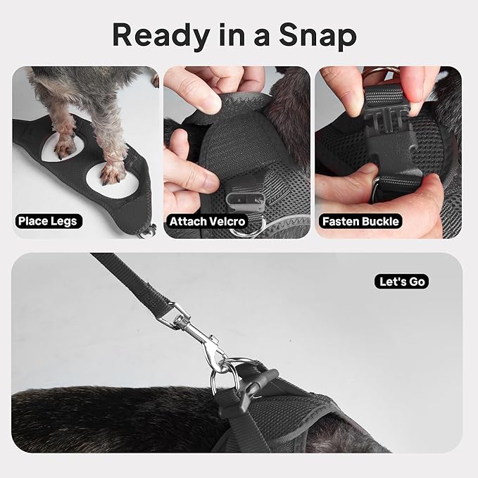 PetiFine Cat Harness and Leash Set,Escape Proof Kitten Harness Reflective,Soft Lightweight Puppy Harness for Walking and Travelling(XXS, Black)