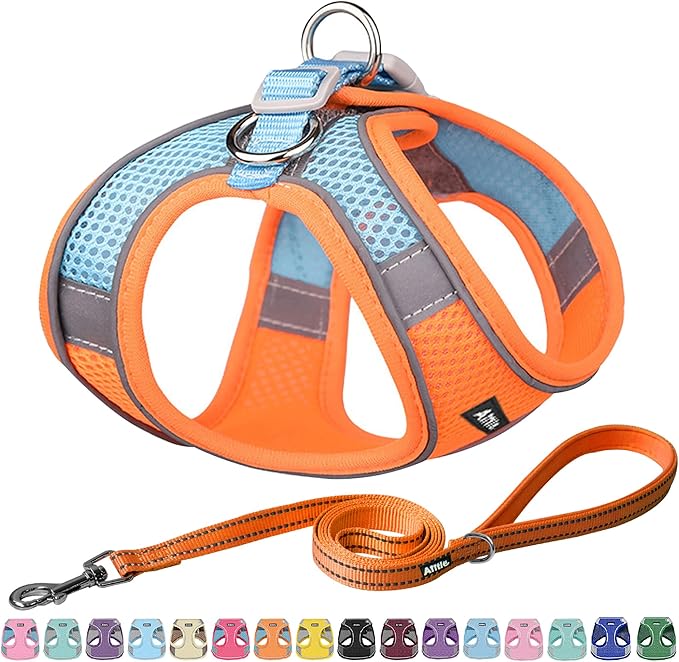 AIITLE No Pull Dog Harness and Leash Set, Step in Adjustable Dog Harness with Padded Vest for All Weather, Dog Leash with Soft Padded Handle, Easy to Put on Small and Medium Dogs Orange S