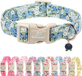 Blueberry Pattern Dog Collar, Cute Light Blue Spring Summer Puppy Collar - Soft Adjustable Designer Dog Collars for Small Medium Large Dogs XS