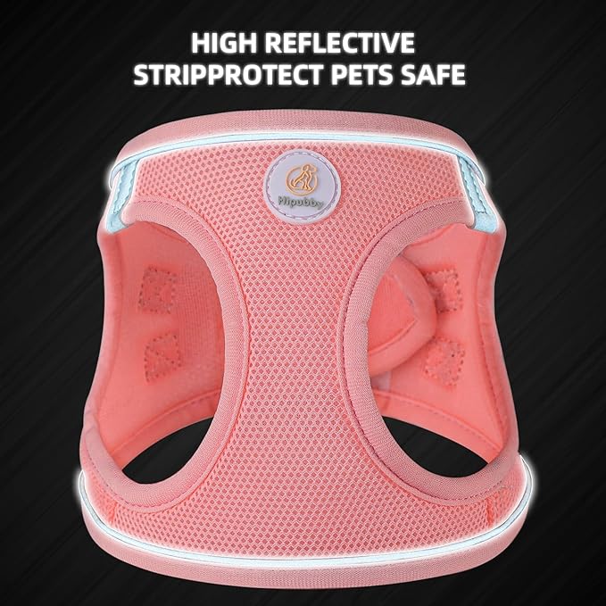 Hipubby Dog Harness and Leash Set, No Pull Soft Mesh Puppy Harness for Small Medium Dogs, Cats - Step in Reflective Breathable Lightweight Vest Harness for Walking, Training - Pink, XS