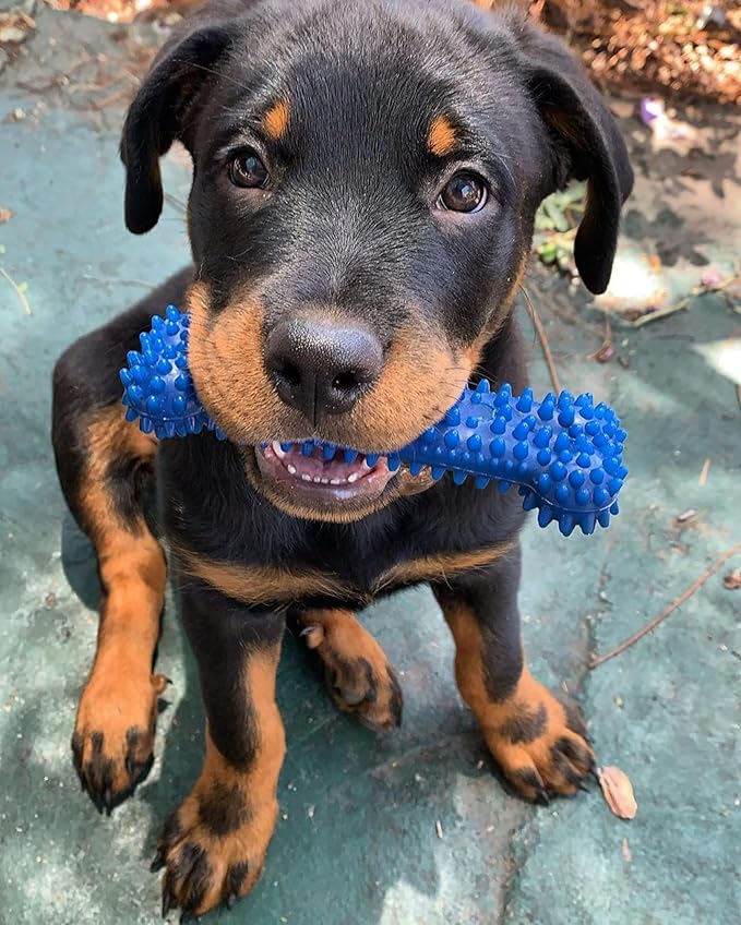 Nylabone Original Bone Flexi Chew Toy for Dogs, Flexible Dog Toys for Moderate & Gentle Chewers, Chicken Flavor, Medium - Up to 35 lbs, 2 Pack