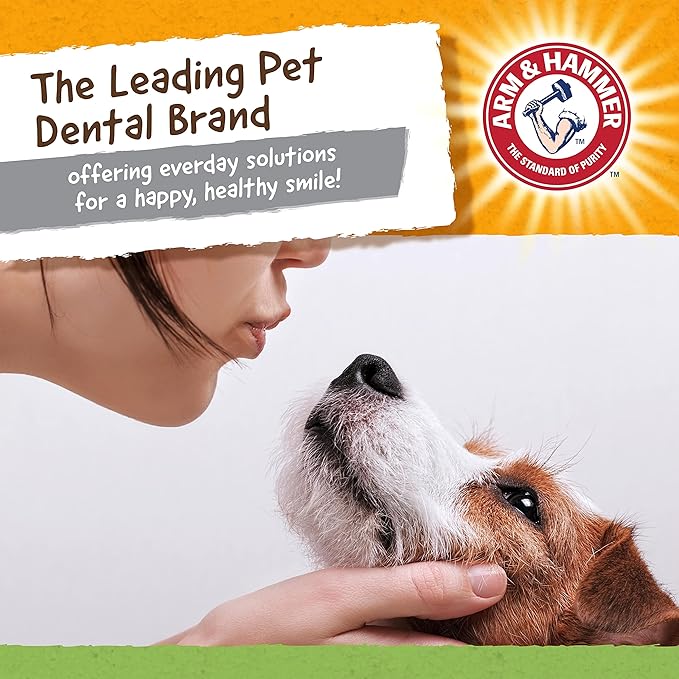 Arm & Hammer for Pets Nubbies Dental Toys T-Rex Dental Chew Toy for Dogs Best Dog Chew Toy for Moderate Chewers Reduces Plaque & Tartar Buildup Without Brushing, Mint Flavor (Pack of 24)