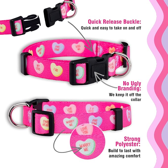 Native Pup Valentine’s Dog Collar- Valentines Day Pet Collars- Valentine Girly Hearts- Pink Red Heart- Cute Boy Girl Puppy Gift- Adjustable for Small, Medium, Large Breeds (Candy Hearts, Large)