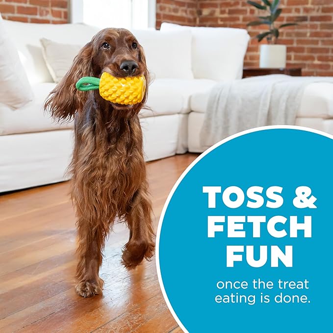 Outward Hound Dental Pineapple Dog Toy & Treat Stuffer, 6.8″ x 3.3″ Pineapple-Scent Interactive Chew for Dogs, Promote Healthy Teeth, Gums & Mental Enrichment, Reduce Boredom & Support Dental Health