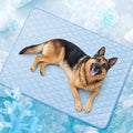 LOOBANI Dog Cooling Mat for Large Dogs - Dog Cooling Pad Durable, Cool Blanket Machine Washable, Large Pet Cool Mat for Outdoor, Indoor (Blue, 48"x65")