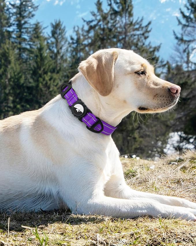 Joytale Airtag Dog Collar, Reflective Pet Collar with Waterproof AirTag Holder, Dual D-Rings, Soft Padded Adjustable for Small Dogs, Purple, S