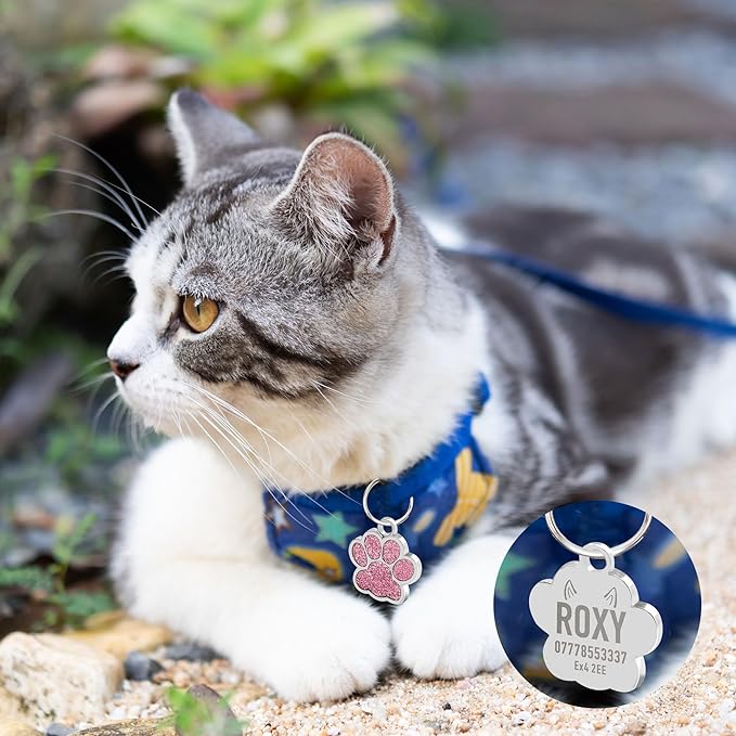 EDSG Cat Dog Tags Personalized for Pets, Dog Name Tags Cat Name ID Tag, Engraved Dog Tags Dog ID Tags Small Glitter Bling ID Tag Paw Print for Cat Pet Dog Puppy(Pink,Design 2)