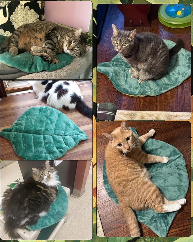 Cat Mat Self Warming Cat Bed 26"x20" Leaf Shaped Cotton Soft Warm Pet Pad Blanket for Indoor Bed Couch Sofa Floors Cat and Dog Warm Mattress (Green)