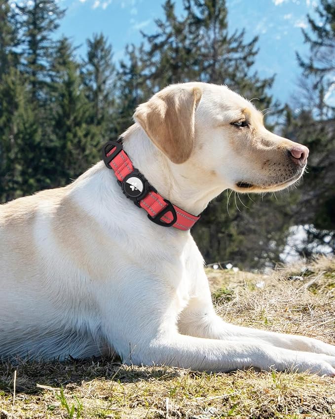 Joytale Airtag Dog Collar, Reflective Pet Collar with Waterproof AirTag Holder, Dual D-Rings, Soft Padded Adjustable for Extra Large Dogs, Neon Pink, XL